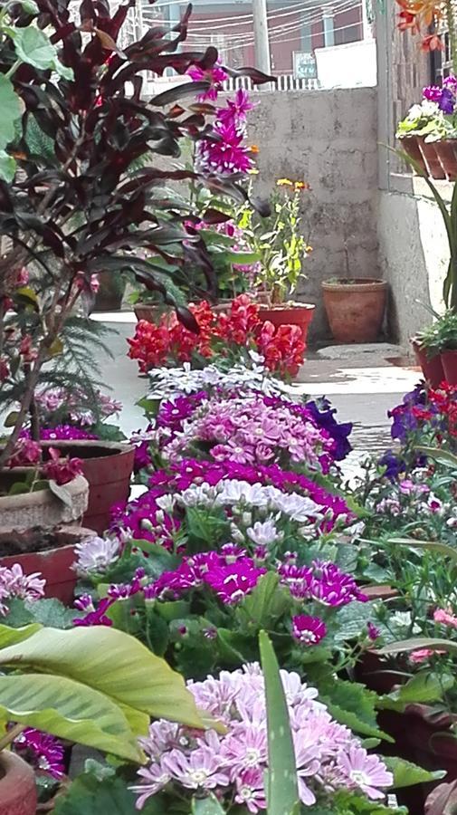 Hotel Buttercup Pokhara Ngoại thất bức ảnh