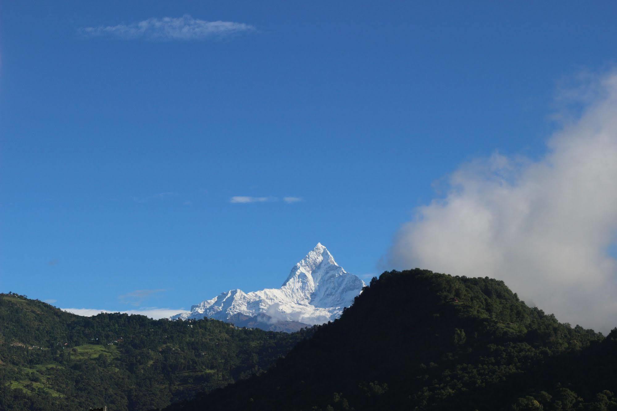 Hotel Buttercup Pokhara Ngoại thất bức ảnh