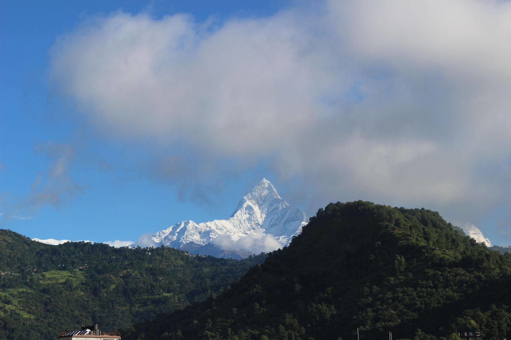 Hotel Buttercup Pokhara Ngoại thất bức ảnh